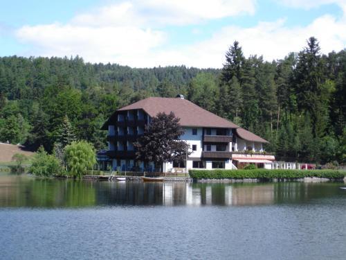 Am Wolfgrubenersee Hotel 3*