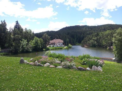Hotel Am Wolfgrubenersee 3*