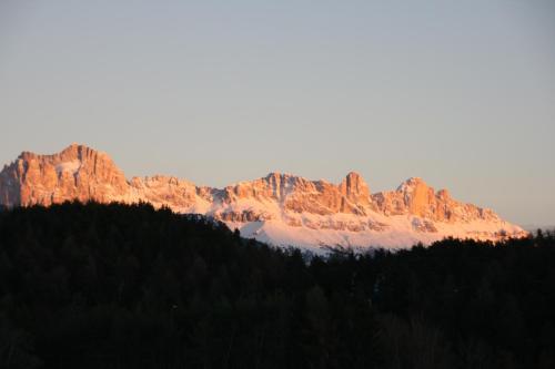 Am Wolfgrubenersee