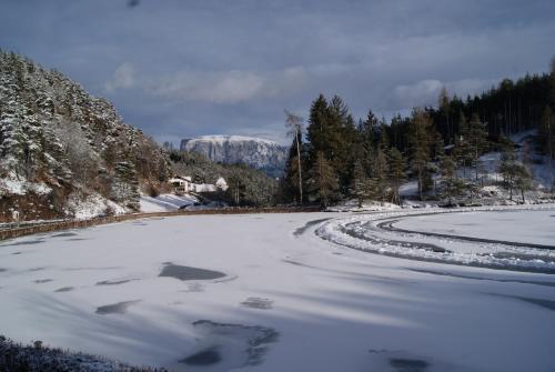 Am Wolfgrubenersee 3*