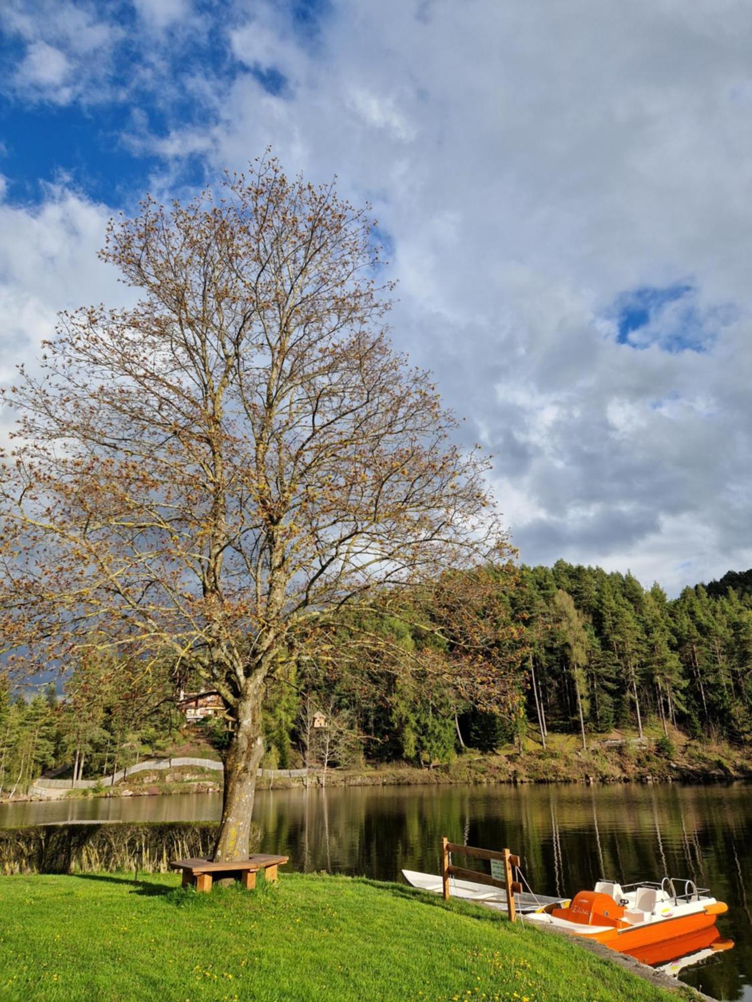Am Wolfgrubenersee Hotel